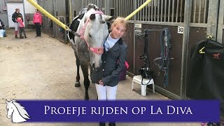 Tessa haar eerste FNRS dressuur proefje F1B op La Diva  Hart voor Paarden [upl. by Colburn964]