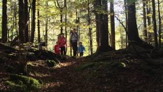 Urlaub in Ruhpolding  Sommer amp Winteraktivitäten in den Bayerischen Alpen [upl. by Bunnie]