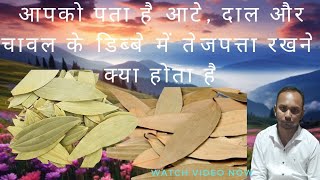 आपको पता है आटे दाल और चावल के डिब्बे में तेजपत्ता रखने से क्या होता है [upl. by Hakvir]