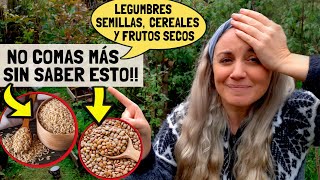 ⚠️NO COMAS MÁS Legumbres Semillas Cereales y Frutos secos SIN SABER ESTO✅ [upl. by Earvin]