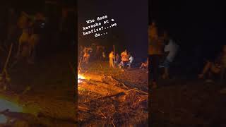 bonfire karaoke campfire songs funny country foryou [upl. by Adnalor104]