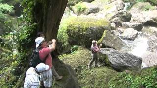 Visite las cataratas El Breo en Juanjuí  San Martín [upl. by Anas25]