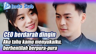 【Indo Sub】Setelah mencampakkan mantan pacarku aku menikahi CEO tampan ituBintangBerlian MiniDrama [upl. by Phedra]