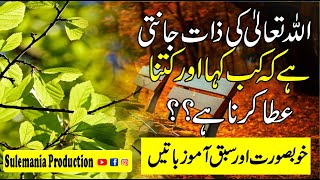 ALLAH Kay Faislay Aur Hikmat Quotes in Urdu  Amazing Quotes  Sulemania Producion [upl. by Fania117]