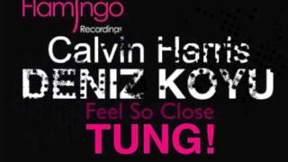 Feel So Close w Tung Axwell Bootleg Deniz Koyu w Calvin Harris [upl. by Northway154]