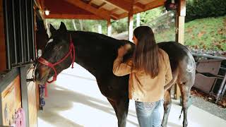 Barn Pros Cimarron  Building a 48 3 Stall Horse Barn [upl. by Imoyaba577]