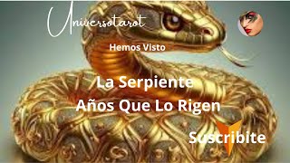 💛La Serpiente💛Horoscopo Chino💛💤 Años Que La Rigen💦 [upl. by Aryamo446]