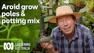 How to make grow poles and custom potting mix for aroids  Indoor Plants  Gardening Australia [upl. by Aleck55]