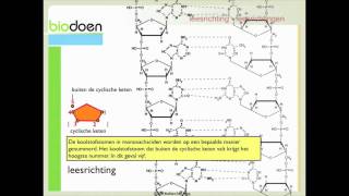 Biodoen  leesrichting 1 van 2 [upl. by Trah]