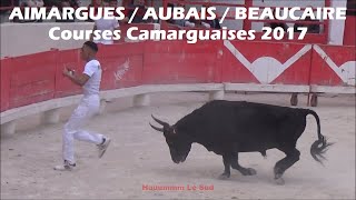 AIMARGUESAUBAISBEAUCAIRECourses Camarguaises 2017 [upl. by Bernie]