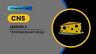 CNS  lesson 3 Antidepressant drugs [upl. by Matti914]