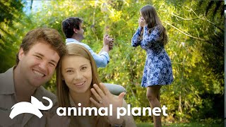 Bindi y Chandler se comprometen en el zoológico  Los Irwin  Animal Planet [upl. by Koosis291]