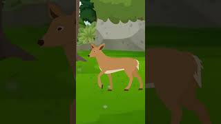 Shak Part 1  One Minute Story  Cartoon  cartoonanimal [upl. by Drawde815]