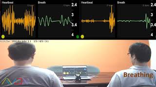 mmWave Radar Vital Sign Detection Two Target [upl. by Edholm893]