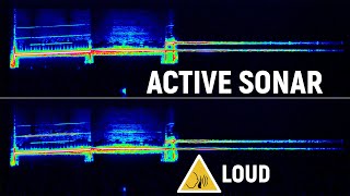 Active Sonar Sound Extracted  Caution Loud Audio [upl. by Solhcin157]