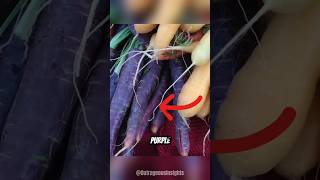 carrots used to be purple shorts carrot food [upl. by Seraphine]