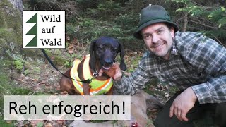 🦌Rehjagd PRAXIS Tipp von der Erlegung bis Nachsuche wildaufwald [upl. by Thacker]