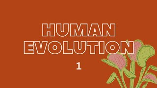 Human Evolution l nature human naturalselectiontheories [upl. by Ellecrad]