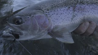 Trout Spey  Big Oregon Rainbow [upl. by Nekcarb369]