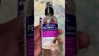 Feliway Spray for Cats [upl. by Noyerb]