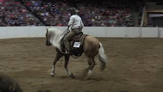 Dan James Freestyle Reining at All American Quarter Horse Congress 2021 [upl. by Nehcterg]