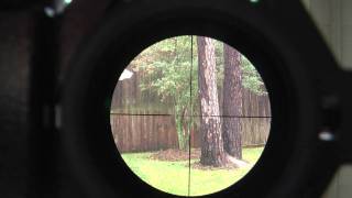 Video Scoping through a Rifle Scope [upl. by Oremoh]