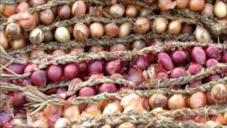 Réstias de cebolas  Plaits of onions [upl. by Hanway]