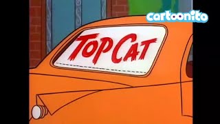 Top Cat Theme Song 19611962 PAL [upl. by Joash987]