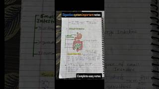 Digestive system anatomy and physiology hindi notes shorts digestivesystem notes anatomy [upl. by Imled243]