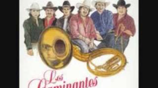 los caminantes con banda teresita0001wmv [upl. by Silverstein568]