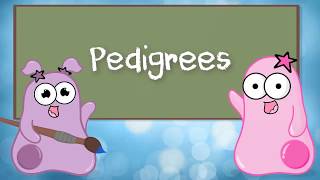 An Introduction to Pedigree Analysis [upl. by Fidelio361]