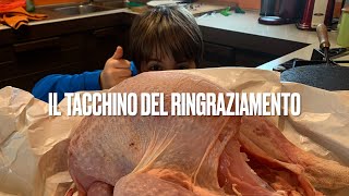 Tacchino del Ringraziamento [upl. by Oringas]