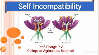 Lecture No 3  Self Incompatibility Part  1 [upl. by Malcom]