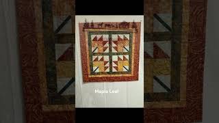 Quilts of Fall 2024 quilters quilt quilting [upl. by Ydnagrub]