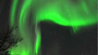 Lights Over Lapland the Aurora Borealis Experience [upl. by Onateag]