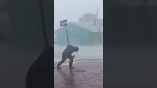 Meteorologist gets hit by tree branch in high winds during hurricane Ian shorts [upl. by Cailly]