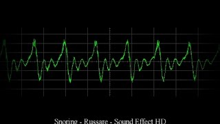 😴 Snoring Sound Effect  Russare Effetto Sonoro HD 💤 [upl. by Ettenrahs]