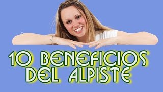 Beneficios del Alpiste  Descubre los 10 Beneficos Del Alpiste para la Salud [upl. by Ortrud838]