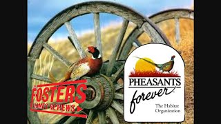 Pheasants forever Quick playreview wii [upl. by Rask]