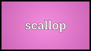 Scallop Meaning [upl. by Imit]