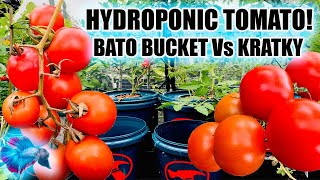 DUTCH BUCKET HYDROPONICS Vs KRATKY HYDROPONICS  1st Harvest [upl. by Saire]