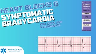 Heart Blocks amp the Bradycardic ACLS Algorithm  Symptomatic Bradycardia [upl. by Secnirp]