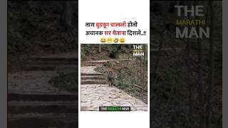 तास बुडवून चाललो होतो 😂😂 ll New WhatsApp status video 2024 ll Marathi comedy video ll funny video [upl. by Ecinaj]