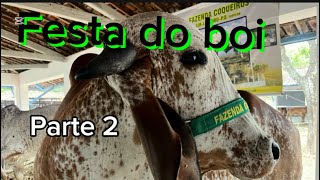 Vamos na festa do boi [upl. by Bondon521]