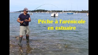 Pêche à larénicole en estuaire [upl. by Ashlee203]