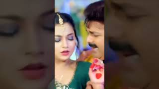 Pawan singh ka new song shortvideo bhojpurisong shorts pawansingh [upl. by Auqinat]