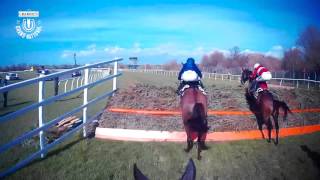 How to win the Crabbies Grand National in a minute [upl. by Turpin]