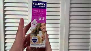 Does the Feliway Spray work Watch to find out [upl. by Sela]