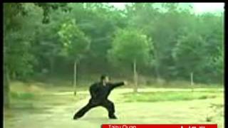 Taizu Men  Luohan Quan 太祖门  罗汉拳 [upl. by Fuchs]