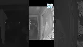 Alien Sighting on Ring Doorbell [upl. by Llertram]